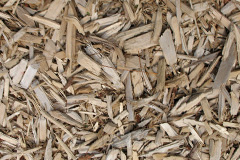 biomass boilers Tresaith